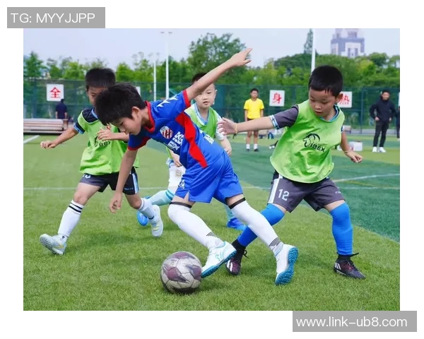 足球的魅力与激情在绿茵场上绽放的青春梦想之旅