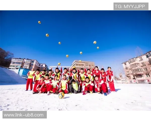 辽宁开新足球队最新动态分析及未来发展方向探讨